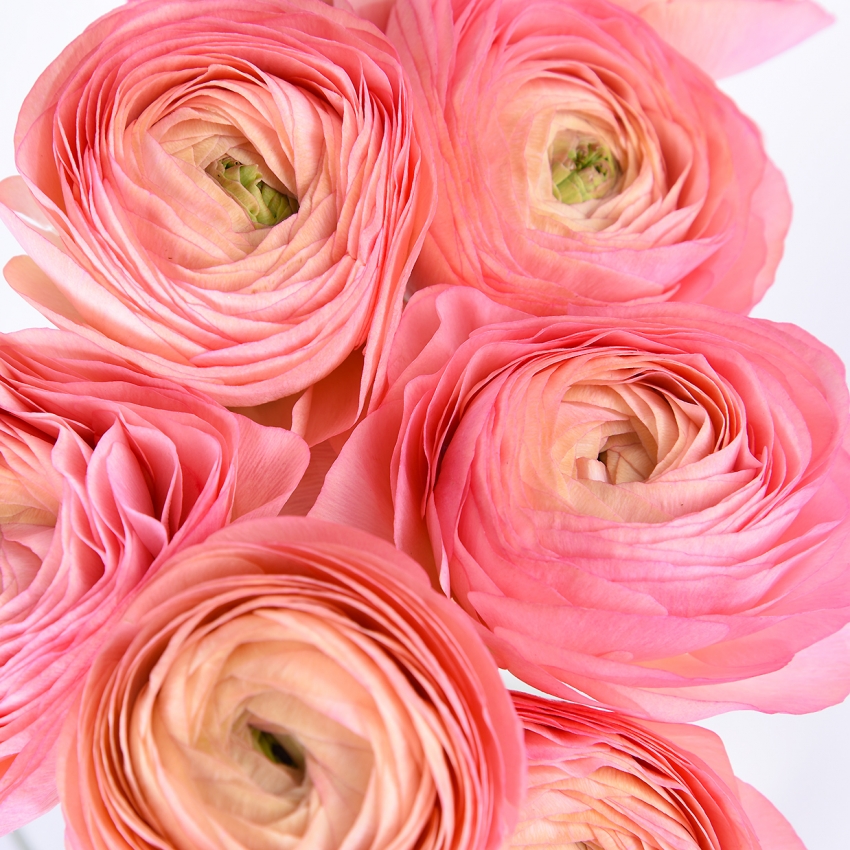 что можно подарить девушке на 8 марта