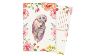 Открытка "Любимые питомцы. Сова", 10х15 см