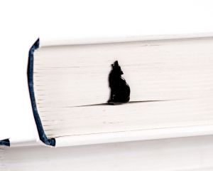 Закладка для книг "Волк"