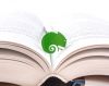 Закладка для книг "Хамелеон"