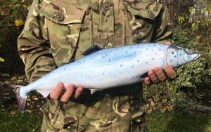 Рыба-антистресс "Лосось"