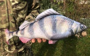 Рыба-антистресс "Карась"