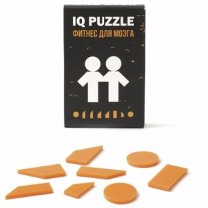 Головоломка IQ Puzzle "Близнецы"