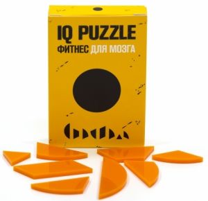 Головоломка IQ Puzzle "Круг"