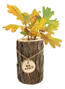 Эко-карандашница с Вашим лого