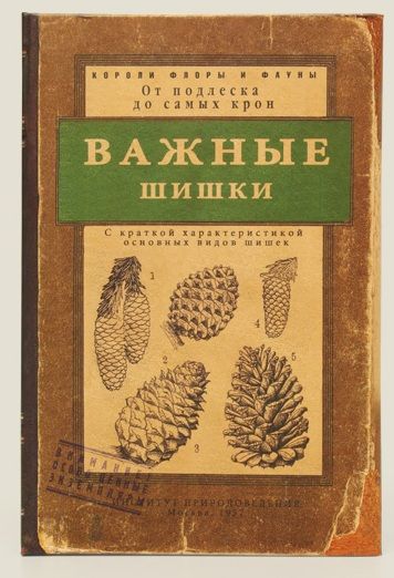 Визитница "Важные шишки" от ТМ "Бюро находок"
