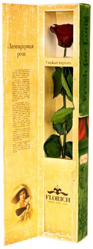 Вечная роза "Багровый гранат" (5 карат, 25-35 см стебель, в подарочной коробке)