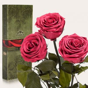 Вечные розы "Розовый коралл", 3 розы" ( 7 карат, 39-49 см стебель)