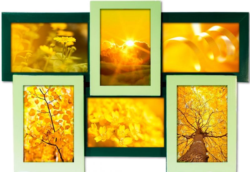 Мультирамка для фотографий "Оттенки зеленого. Коллаж 6 фото"