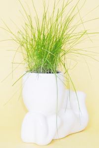 Экочеловечки (большой) "Мечталель"