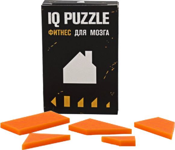 Головоломка IQ Puzzle "Домик"
