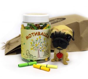 Мимиминабор романтического характера "Мопс с мотивацией"