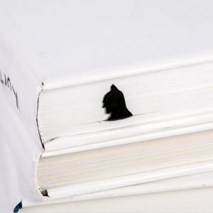 Закладка для книг "Batman"(01)